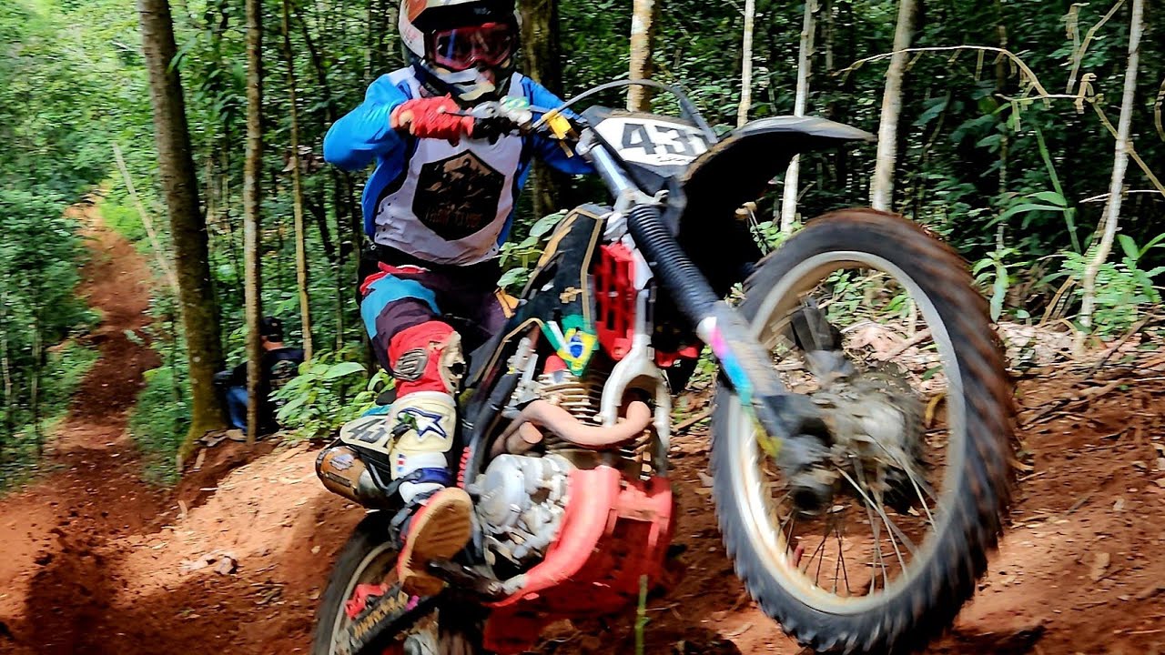 11 trilhão Ribeirão de São Domingos 2026