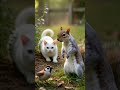 Beautiful story of two friends #trending #birds #animation # #viralvideo #viralshorts #youtubeshorts