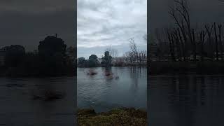 Rio Rahue, Osorno, Región de los lagos #chile #paisaje #surdechile #rios #turismo