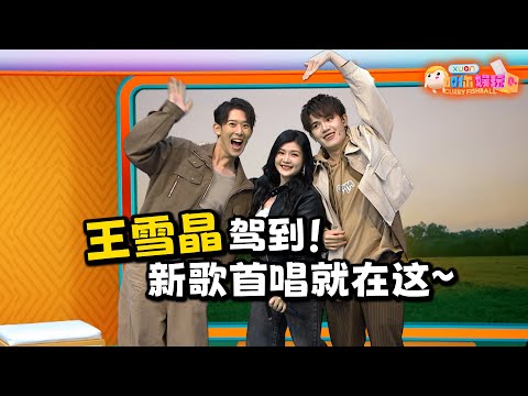 王雪晶为什么一直没谈恋爱 她表示 XUAN加你娱玩 第71期