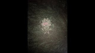 Духовная энергетика наука Спас. Как увидеть ауру.. 2ч 19.12.18 Духовная энергетика наука Спас. Как увидеть ауру.. 2ч 19.12.18