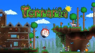 Home //Terraria master mod//Coop