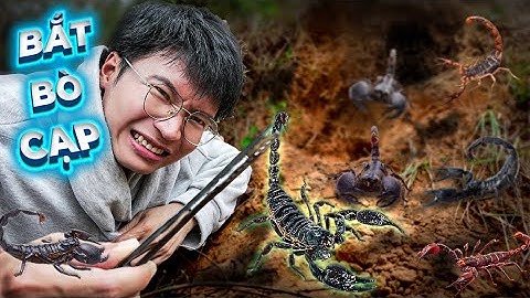 𝐓𝐨𝐧𝐲 | Vào Rừng Bắt Bọ Cạp Vua 🦂 𝐇𝐮𝐧𝐭 𝐒𝐜𝐨𝐫𝐩𝐢𝐨𝐧