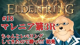 【エルデンリング #18】レベルを上げて物理で殴れば勝てる【Vtuber/星戌セン/ #vtuber #ELDENRING #エルデンリング】