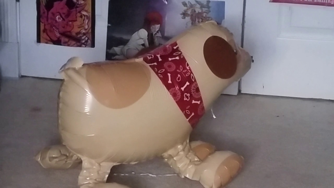 Cats v.s Giant Dog Balloon YouTube