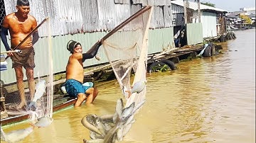 2 Anh lặn bè mưu sinh mùa nước nổi cực chất - Sông Nước Cửu Long - Nguyễn Hùng