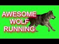 Gambar cover ✔️GREEN SCREEN EFFECTS: Wolf running