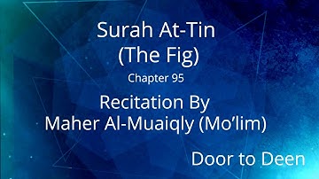 Surah At-Tin (The Fig) Maher Al-Muaiqly (Mo'lim)  Quran Recitation