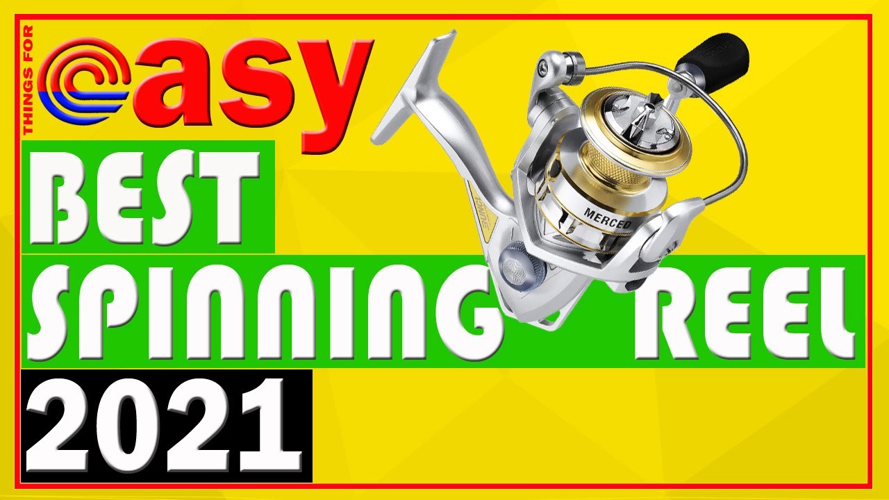 Best Blue Spinning Reel Combo Bass Fishing