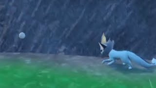 Vaporeon hates the ball