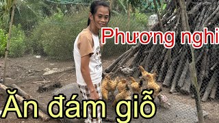 Phương Nghi Hôm Nay Bên Nhà Cô Chủ Đất Ăn Đám