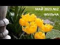 Май 2023. №2. Мульча.