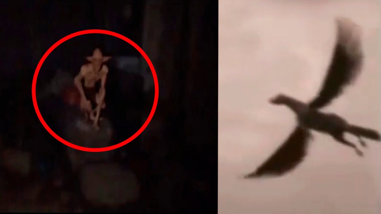Miniatura del video: 10 Criaturas Mitológicas Grabadas En Cámara Y En Vida Real