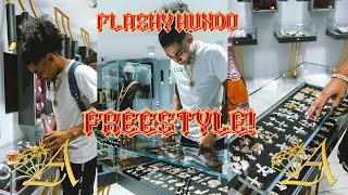 Avianne Freestyle: Flashy Hundo