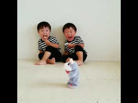 🔴keren!!-story-wa-lucu-30-detik-kekinian😂😂-bikin-ngakak-jungkir-balik-2019