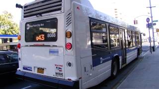 MTA New York City Bus: NovaBus LFS #8088 on the Q43 @ Hillside Avenue & 165th St