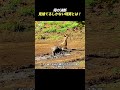 母の決断 見捨てるしかない現実とは!
