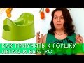 КАК ПРИУЧИТЬ РЕБЕНКА К ГОРШКУ ЛЕГКО И БЫСТРО | 3 этапа и 6 правил | Личный опыт