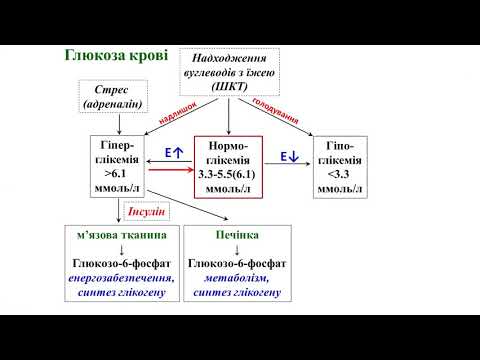 Біохімія всі роки частина 7 печінка