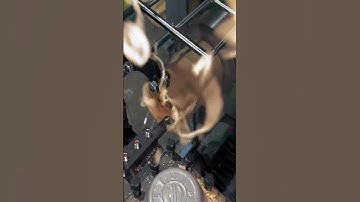 Bamboo processing #CNC lathe #smartwork #goodtools