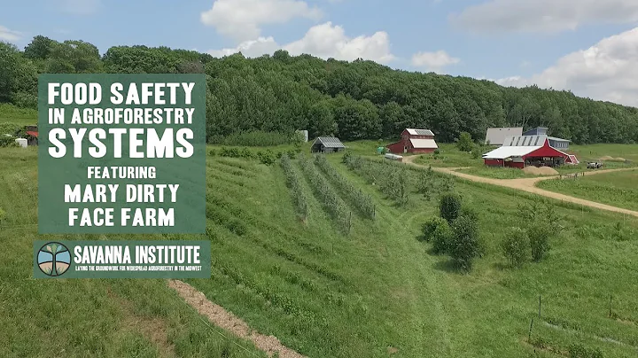 Food Safety in Agroforestry Systems | Mary Dirty Face Farm