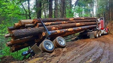 Top 10 Heavy Wood Logging Trucks Incredible Fails to Go Wrong Compilation #3 | Heavy Trucks Fails !!