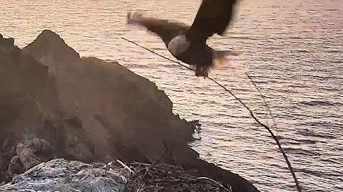 WE - K-01 tries to Bring another Stick