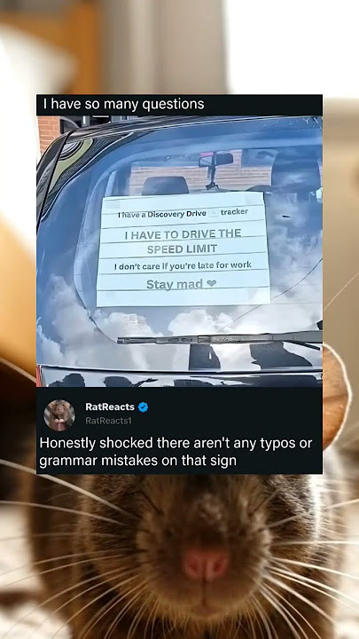 The sign's correctness is the most surprising aspect of the encounter