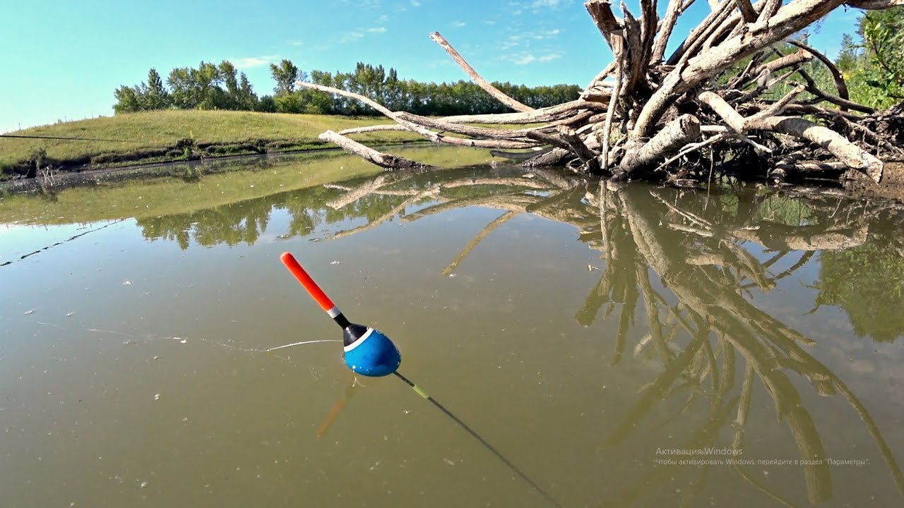 Поплавочная ловля весной видео