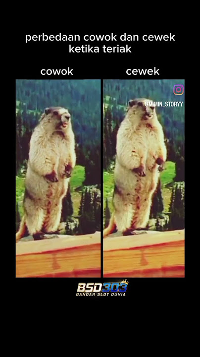 perbedaan cowok dan cewek kalau pake suara teriak😂😂 #lucu