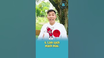 6 Mẹo làm sạch lục phủ ngũ tạng từ dân gian chẳng thể bỏ qua | Nam Hà #shorts