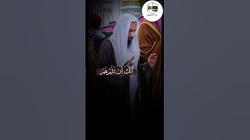 تلاوة بديعه وجميله للشيخ #أحمد_بن_طالب