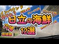 インバウンド、何それ？「日立の海鮮 12選」茨城県日立市 4K