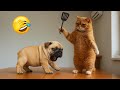 おもしろい動物たちがあなたを止まらない笑いにさせます 😂