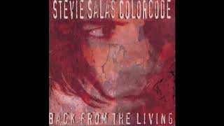 Stevie Salas Colorcode - Tell Your Story Walkin'