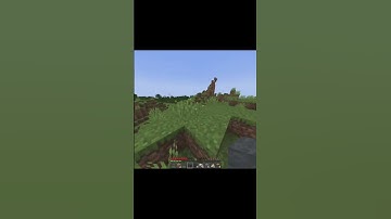 minecraft but if you subscribe i get a RANDOM STATUS EFFECT