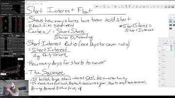 Short Interest Float Explained