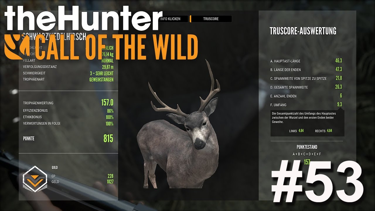 Schwarzwedel Hirsch Gold Rating mit TRUSCORE🦌 The Hunter Call of the