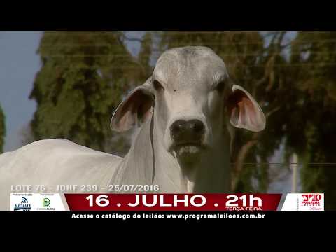 LOTE 076