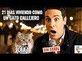 21 DÍAS viviendo como gato callejero 🐈 | Día 1