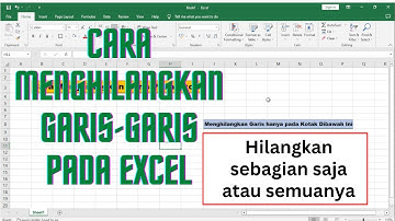 Cara menghilangkan garis garis pada Excel