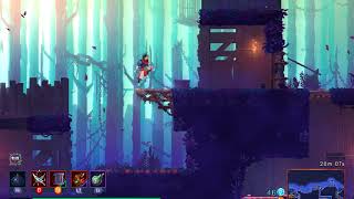 Dead Cells  3rd gardener's key