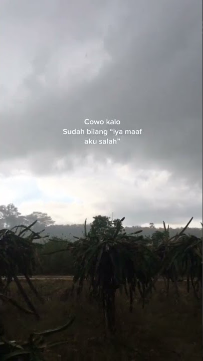 STORY WA 30 DETIK ✴️ || STORY WA TERBARU || STATUS WA 30 DETIK || STORY WA KEREN #Shorts