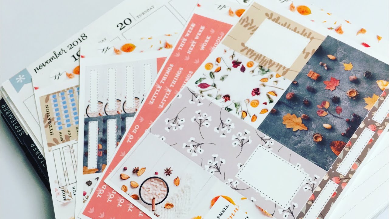 PWM | November 19 - 25, 2018 ft. Jax & Pepper