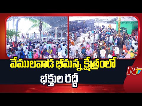 Huge Devotee Rush at Vemulawada Temples | NTV Telugu - NTVTELUGU