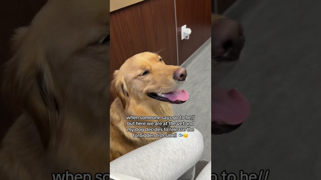 come on it’s just the nerves..