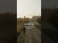 وزكريا إذ نادى ربه القارئ إسلام صبحي وزكريا إذ نادى ربه القارئ إسلام صبحي