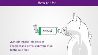 AeroKat* Feline Aerosol Chamber - YouTube