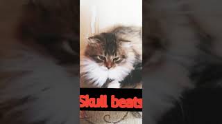 Said energizer - Чики-чики (Skull beats edit)