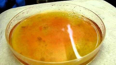 Complex fluids video